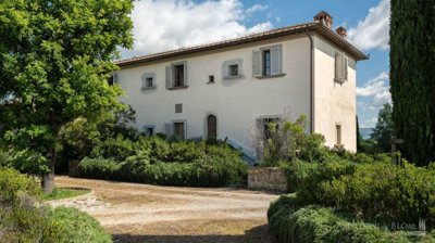 1 - Cortona, Apartment