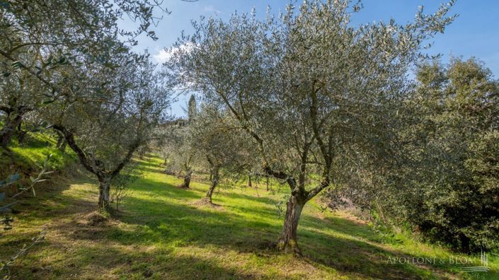 Image No.30-7 Bed Apartment for sale