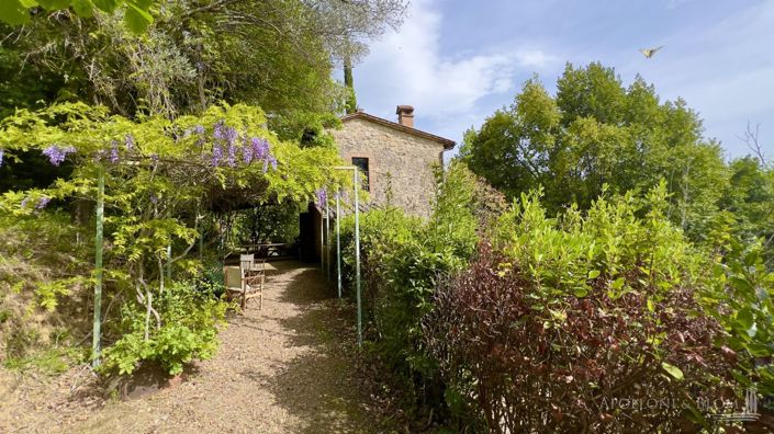 Image No.13-2 Bed Apartment for sale