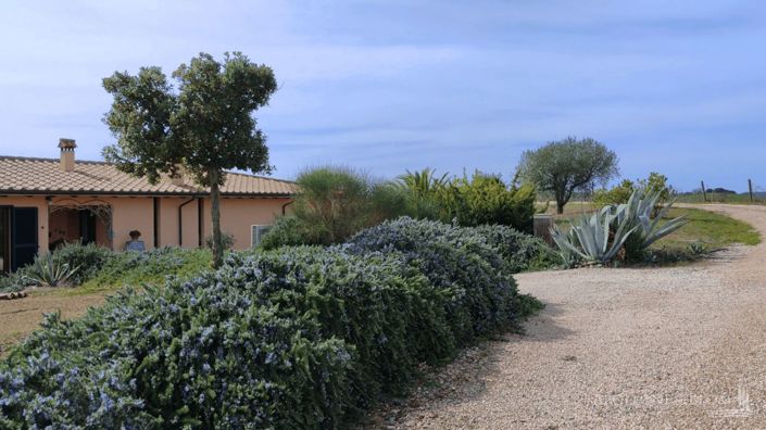 Image No.14-3 Bed Vineyard for sale