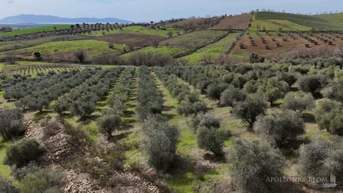 Image No.30-3 Bed Vineyard for sale
