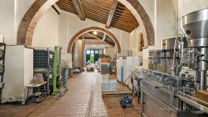 Image No.24-4 Bed Vineyard for sale