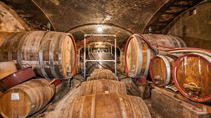 Image No.25-4 Bed Vineyard for sale