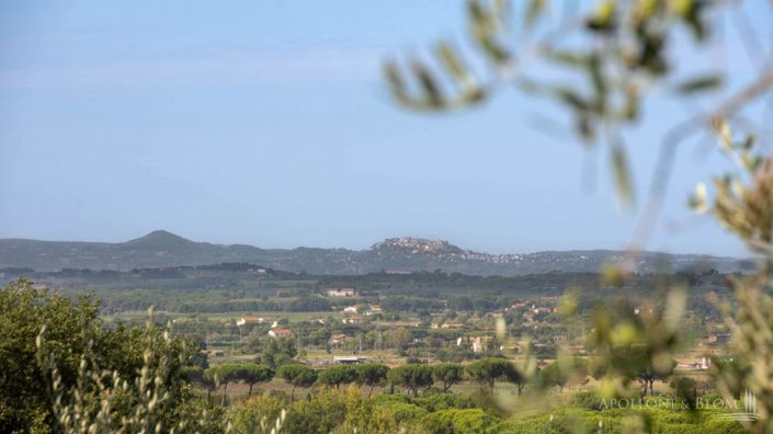 Image No.4-Maison de campagne de 4 chambres à vendre à Cortona