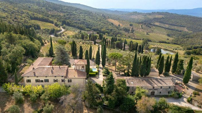 Image No.17-Vignoble de 32 chambres à vendre à Castellina in Chianti