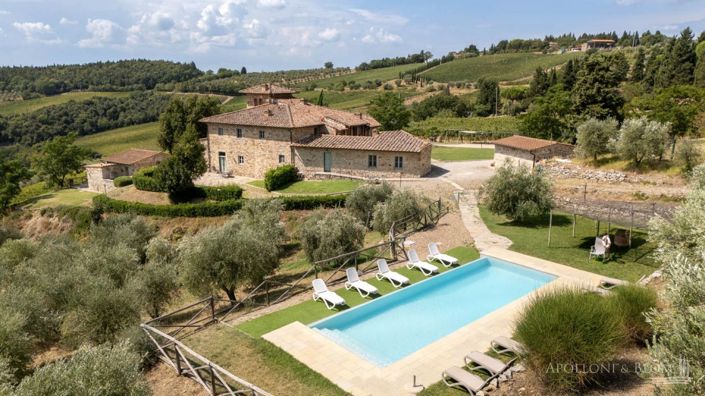 Image No.18-Vignoble de 32 chambres à vendre à Castellina in Chianti