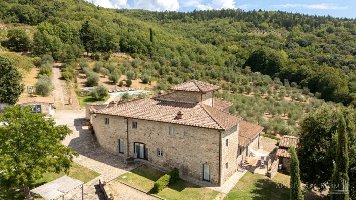 Image No.19-Vignoble de 32 chambres à vendre à Castellina in Chianti