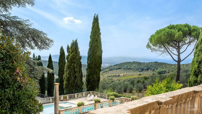Image No.2-Vignoble de 32 chambres à vendre à Castellina in Chianti