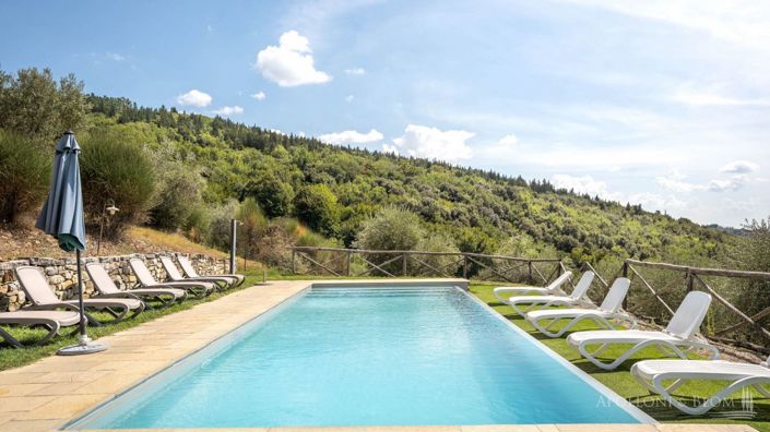 Image No.20-Vignoble de 32 chambres à vendre à Castellina in Chianti