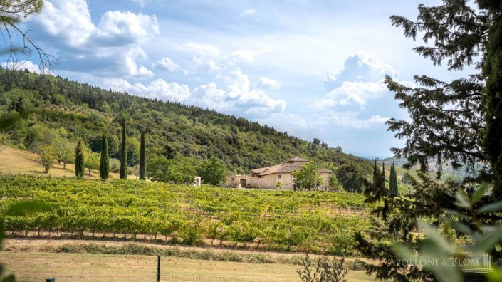 Image No.27-Vignoble de 32 chambres à vendre à Castellina in Chianti