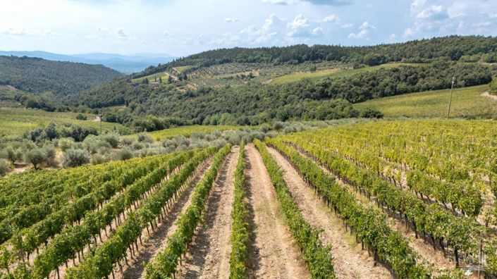Image No.28-Vignoble de 32 chambres à vendre à Castellina in Chianti