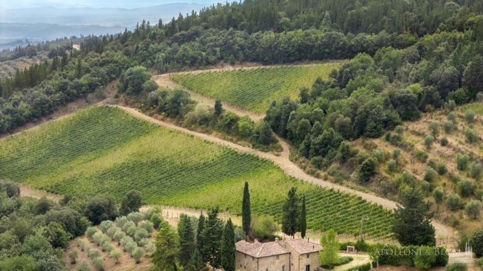 Image No.29-Vignoble de 32 chambres à vendre à Castellina in Chianti