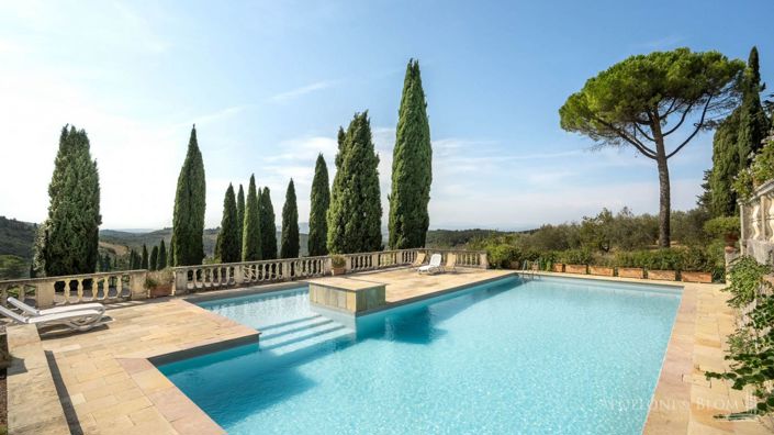 Image No.3-Vignoble de 32 chambres à vendre à Castellina in Chianti