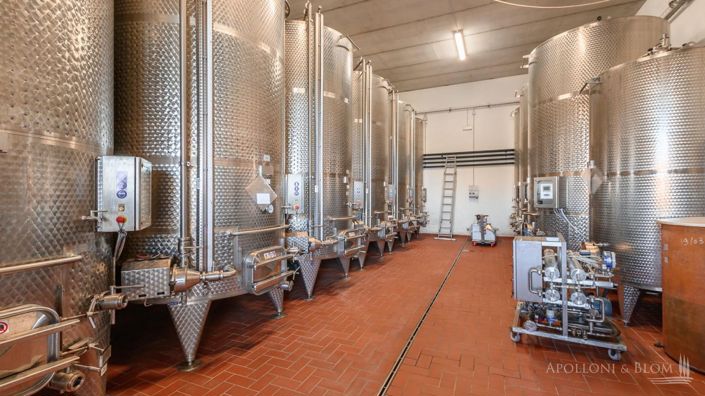 Image No.13-6 Bed Vineyard for sale