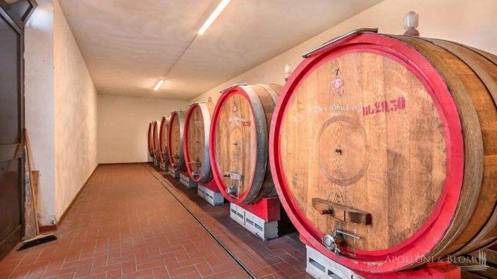 Image No.3-6 Bed Vineyard for sale