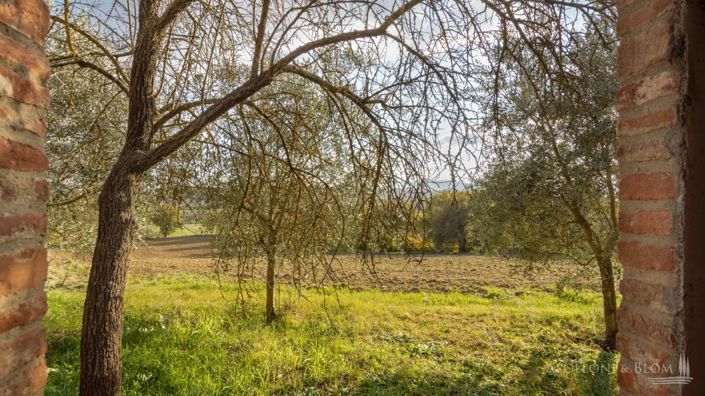 Image No.22-Appartement de 2 chambres à vendre à Montepulciano