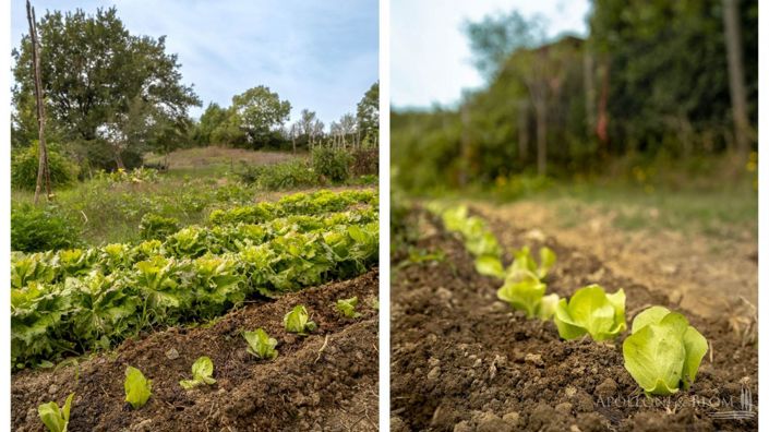 Image No.28-Appartement de 4 chambres à vendre à Radicofani