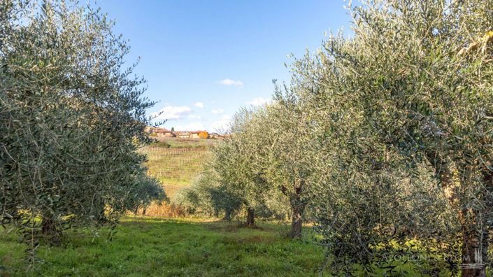 Image No.30-Maison de campagne de 6 chambres à vendre à Montepulciano