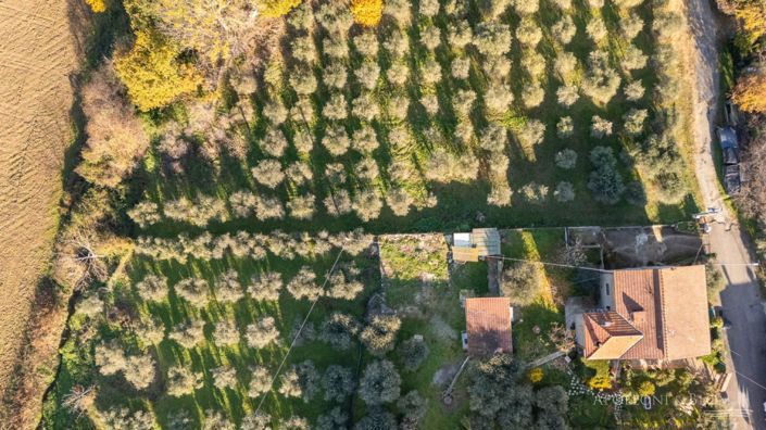 Image No.6-Maison de campagne de 6 chambres à vendre à Montepulciano