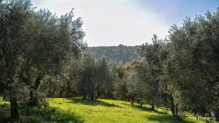Image No.17-Appartement à vendre à Citta della Pieve
