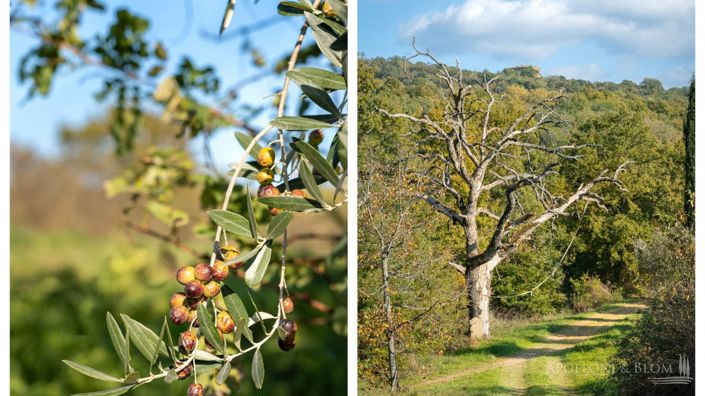 Image No.20-Appartement à vendre à Citta della Pieve