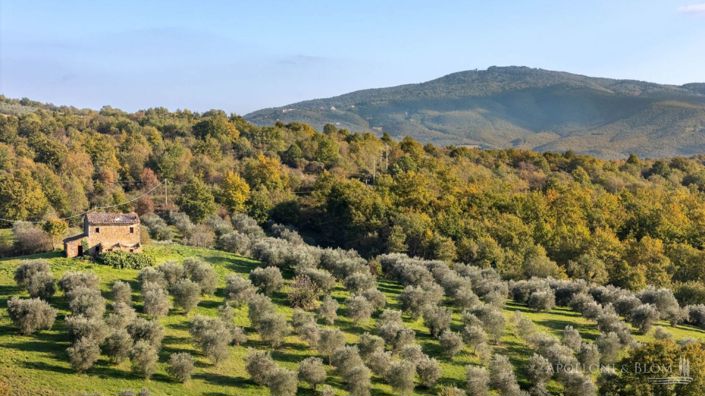 Image No.8-Appartement à vendre à Citta della Pieve