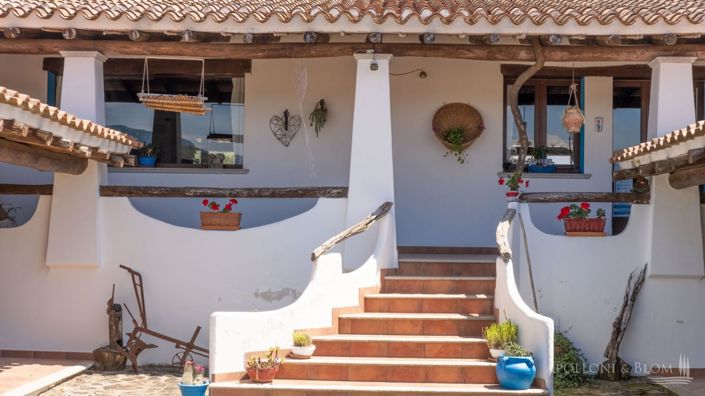 Image No.3-11 Bed Apartment for sale