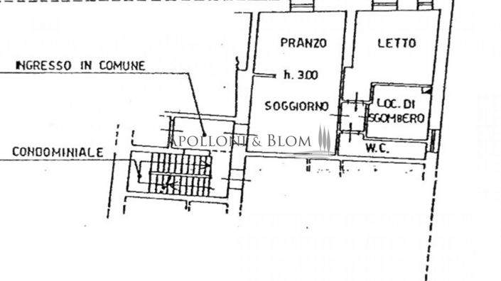 Image No.1-floorplan-1