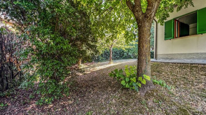 Image No.7-Villa de 3 chambres à vendre à Sarteano