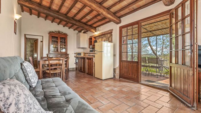 Image No.20-Appartement de 10 chambres à vendre à Montalcino