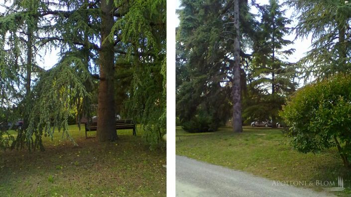 Image No.13-3 Bed Apartment for sale