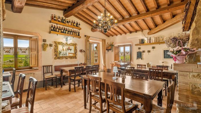 Image No.18-Appartement de 15 chambres à vendre à Sienne