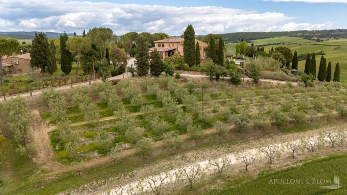 Image No.2-Appartement de 15 chambres à vendre à Sienne