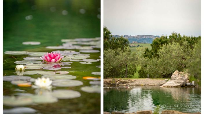 Image No.7-Appartement de 15 chambres à vendre à Sienne