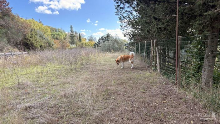 Image No.4-Appartement de 4 chambres à vendre à Castellina in Chianti