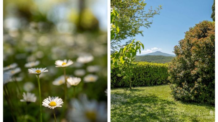 Image No.22-3 Bed Apartment for sale