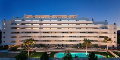 Horus_Frontal_nocturnoa