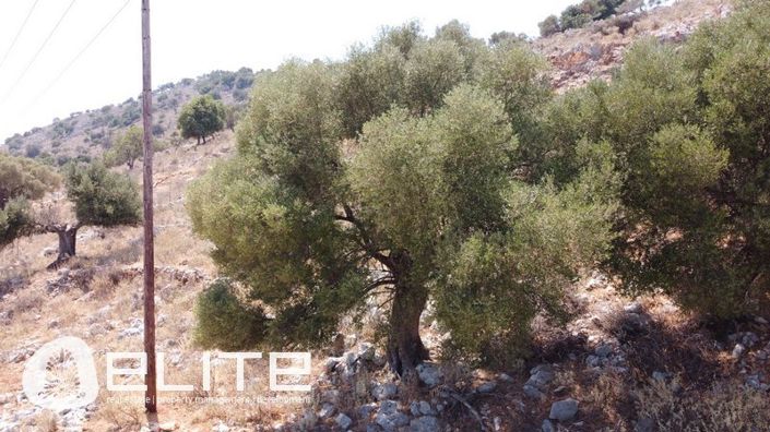 Image No.14-Plot for sale