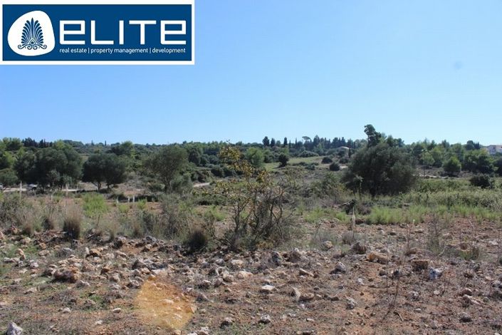 Image No.3-Terre à vendre à Lakithra