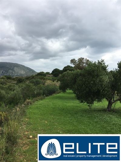 Image No.14-Plot for sale