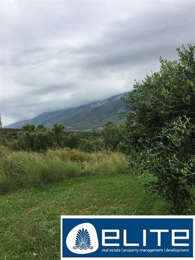 Image No.19-Plot for sale