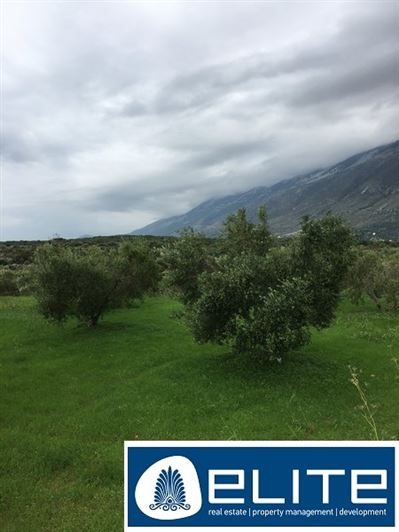 Image No.23-Plot for sale