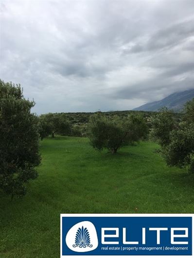 Image No.24-Plot for sale