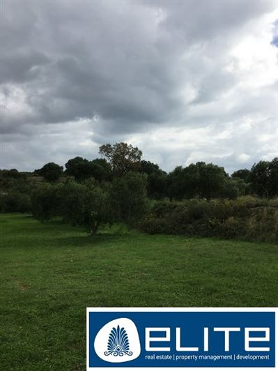 Image No.3-Plot for sale