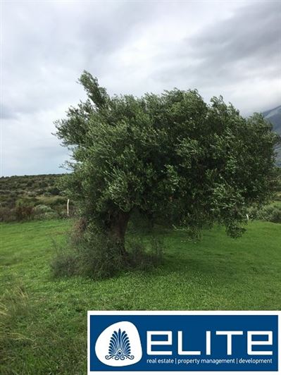 Image No.8-Plot for sale