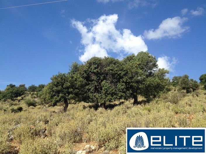 Image No.2-Plot for sale