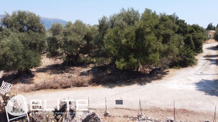 Image No.19-Terre à vendre à Céphalonie