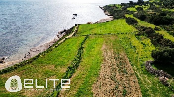 Image No.5-Terre à vendre à Céphalonie