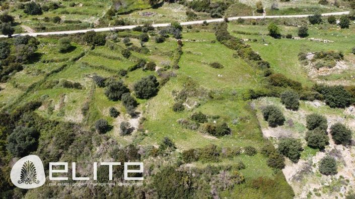 Image No.11-Terre à vendre à Céphalonie