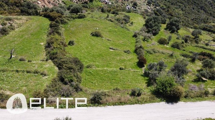 Image No.3-Terre à vendre à Céphalonie